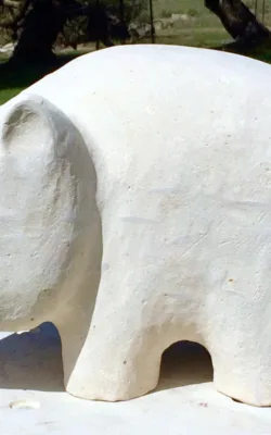 Wombat by Peter Sanders