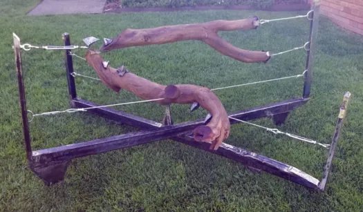 Wrestle by Rachel Steinman