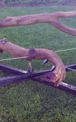 Wrestle by Rachel Steinman