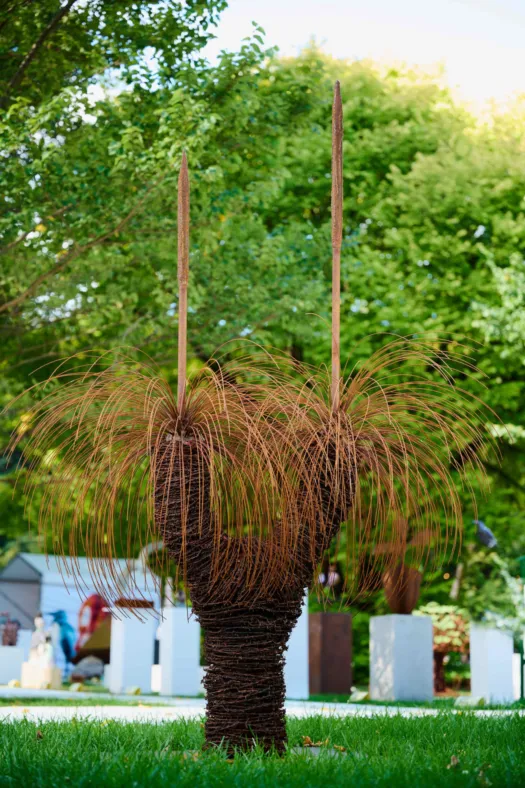 Xanthorrhoea - Grass Tree by Ronald Ahl