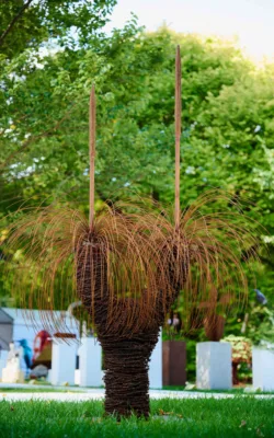 Xanthorrhoea - Grass Tree by Ronald Ahl
