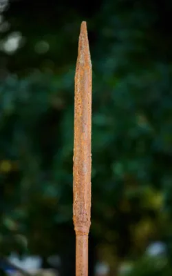 Xanthorrhoea - Grass Tree by Ronald Ahl