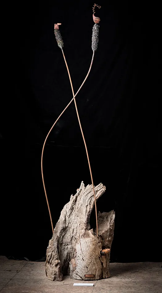 Yarra by Gavin Roberts