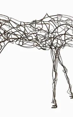 Yorke by Mark Niglia