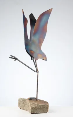 Young Brolga having fun. by Ronald Ahl