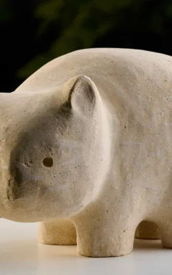 YOUNG WOMBAT by Peter Sanders